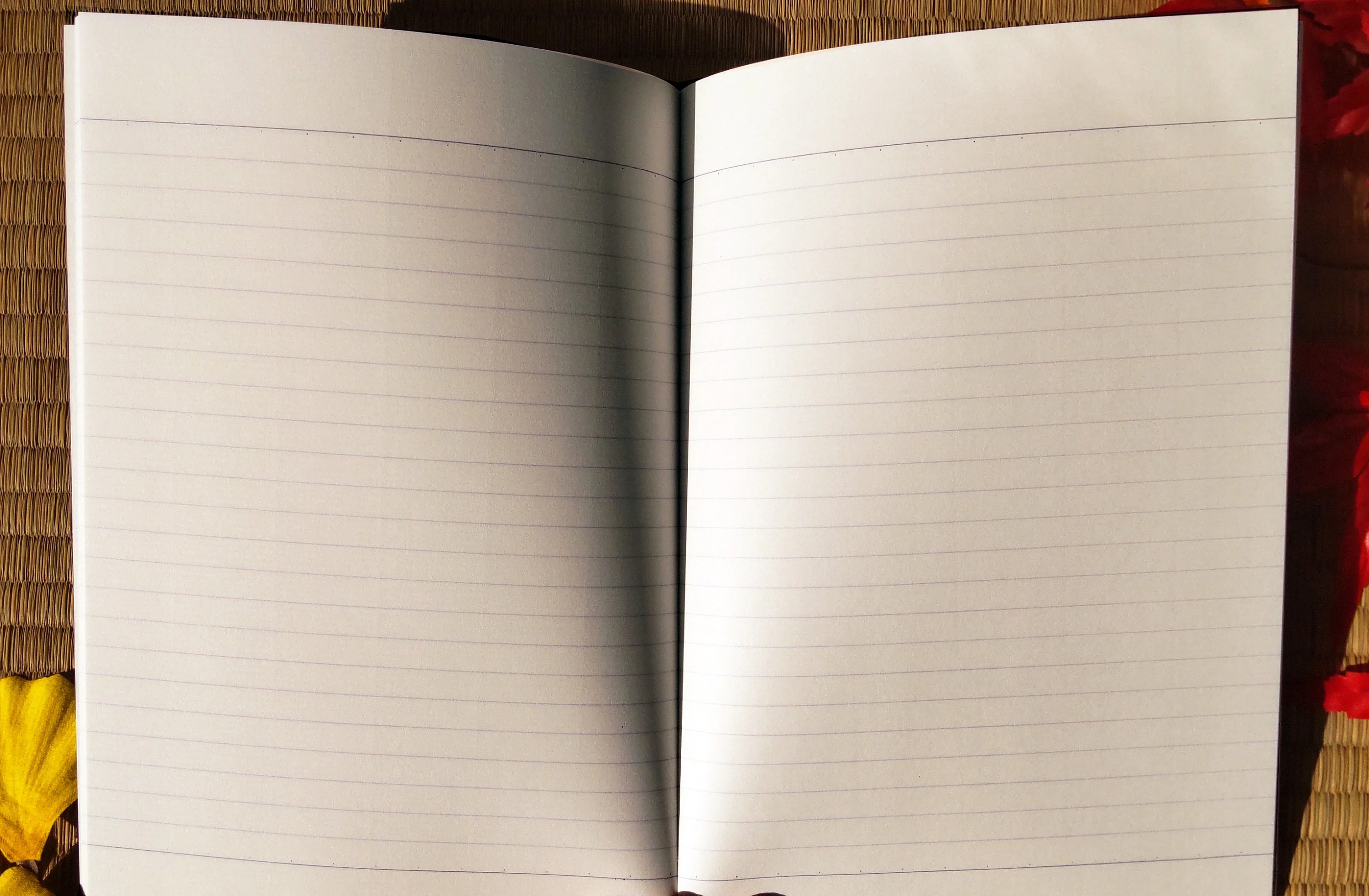 Official Ghibli Totoro, Nausicaa Notebook/Sketchbook/Notepad/Writing pad •  Nausicaä of Valley of the Wind Anime Stationery - Image 10