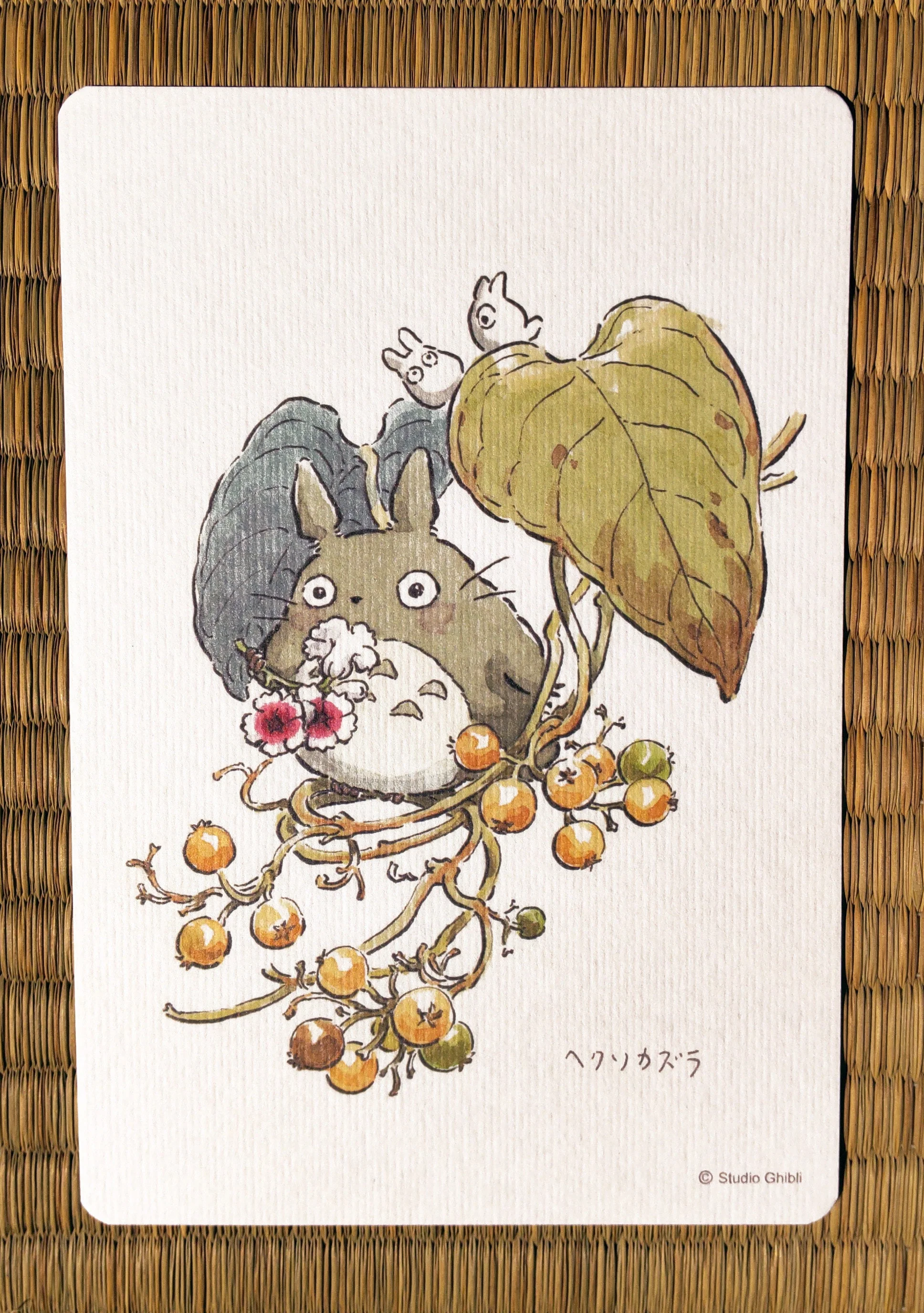 Official Studio Ghibli My Neighbor Totoro 5x Postcards Set • Vintage Style Stationery • Hayao Miyazaki drawings • Totoro Fund - Image 3