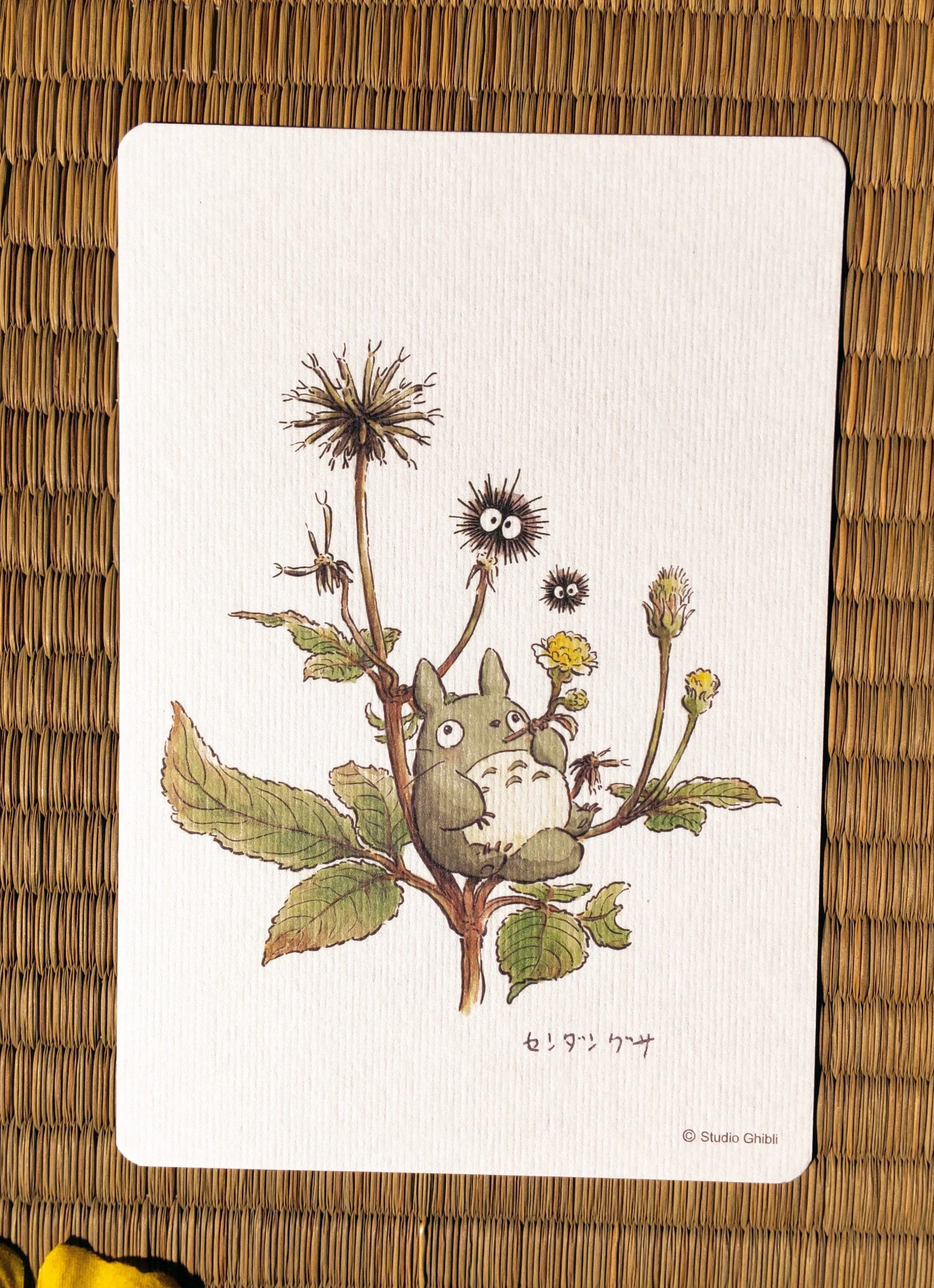 Official Studio Ghibli My Neighbor Totoro 5x Postcards Set • Vintage Style Stationery • Hayao Miyazaki drawings • Totoro Fund - Image 4