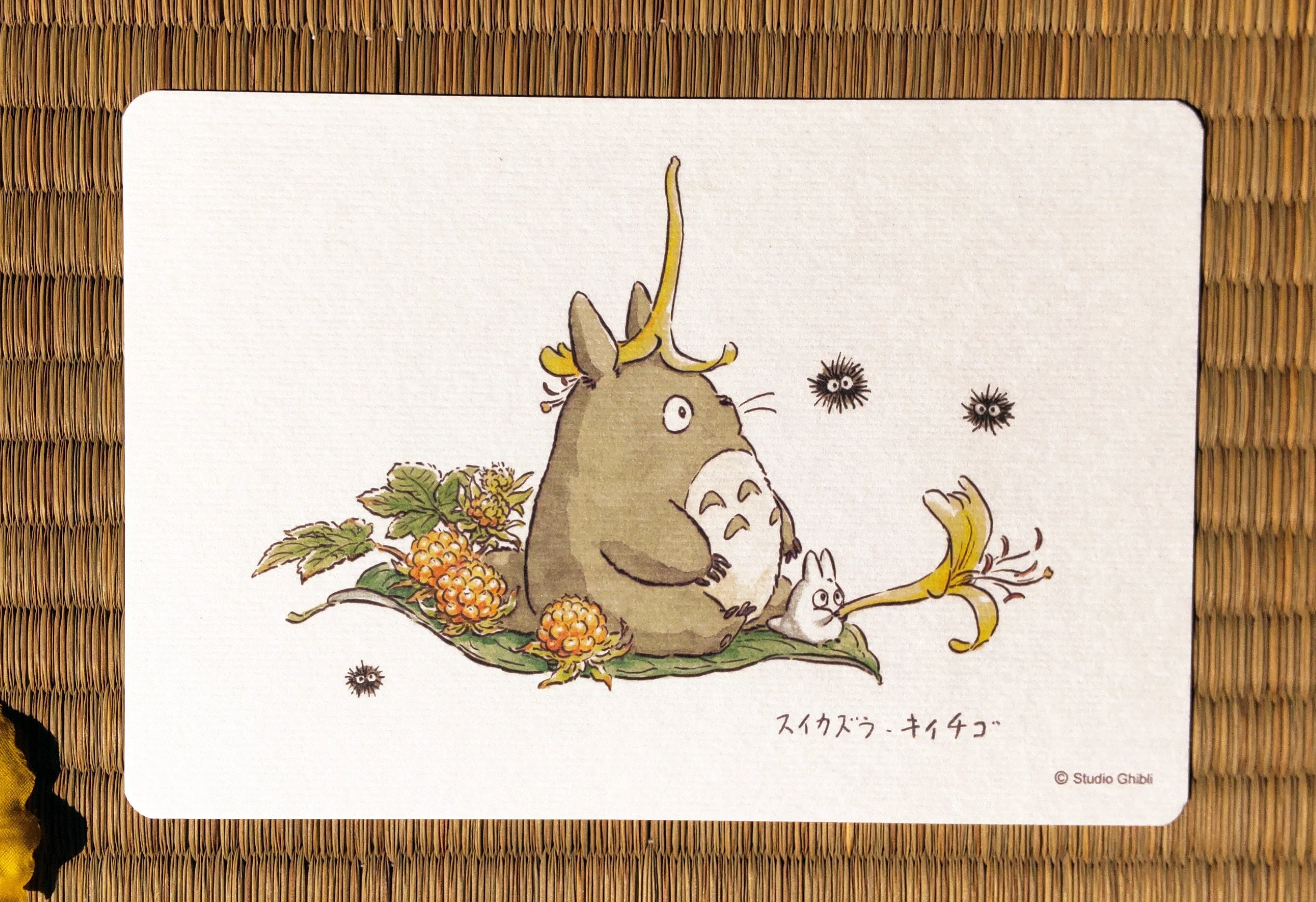 Official Studio Ghibli My Neighbor Totoro 5x Postcards Set • Vintage Style Stationery • Hayao Miyazaki drawings • Totoro Fund - Image 5
