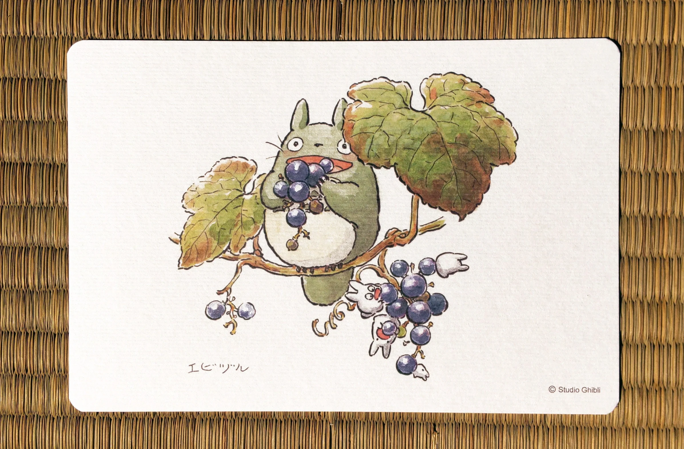 Official Studio Ghibli My Neighbor Totoro 5x Postcards Set • Vintage Style Stationery • Hayao Miyazaki drawings • Totoro Fund - Image 6