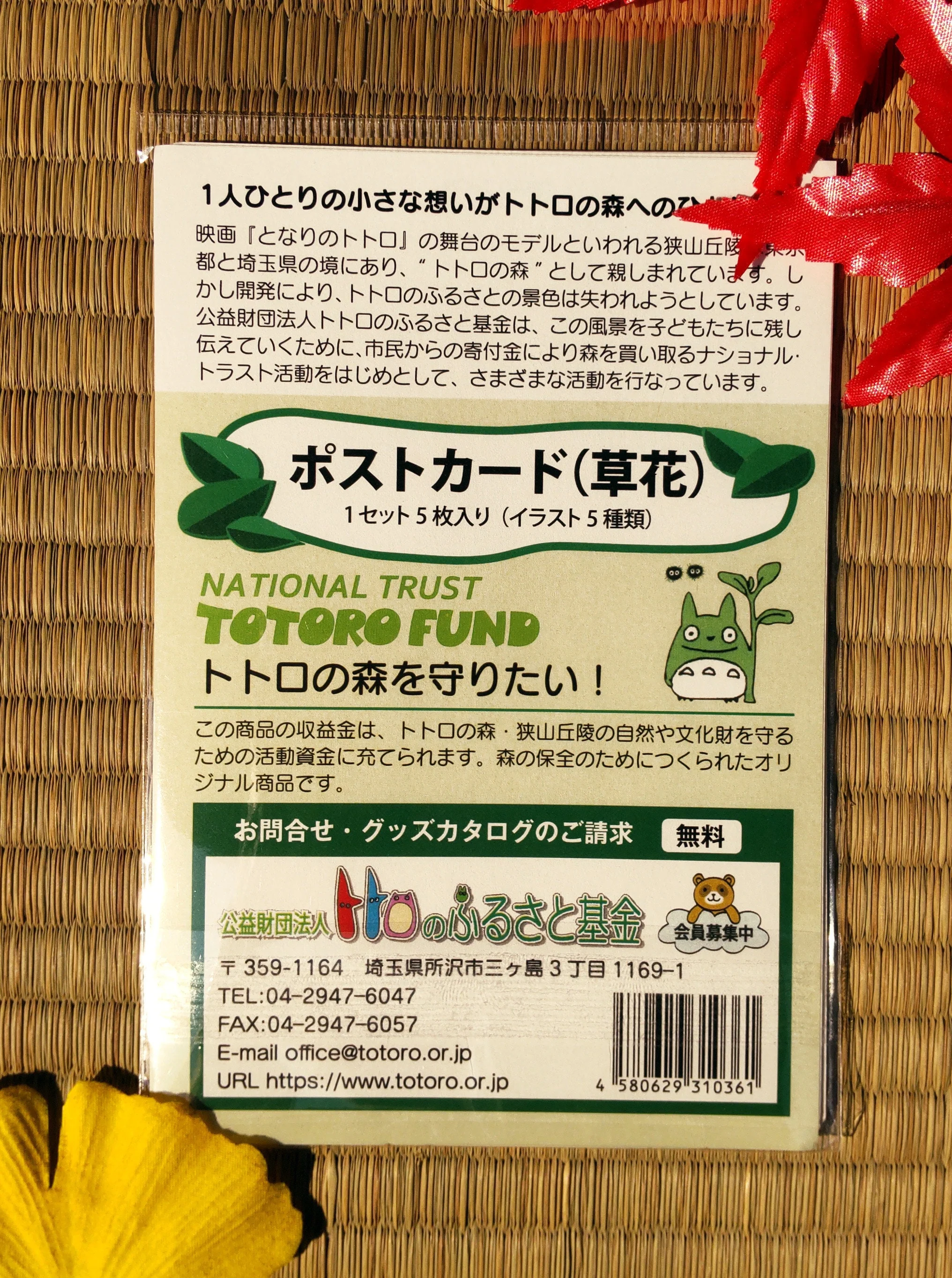 Official Studio Ghibli My Neighbor Totoro 5x Postcards Set • Vintage Style Stationery • Hayao Miyazaki drawings • Totoro Fund - Image 9