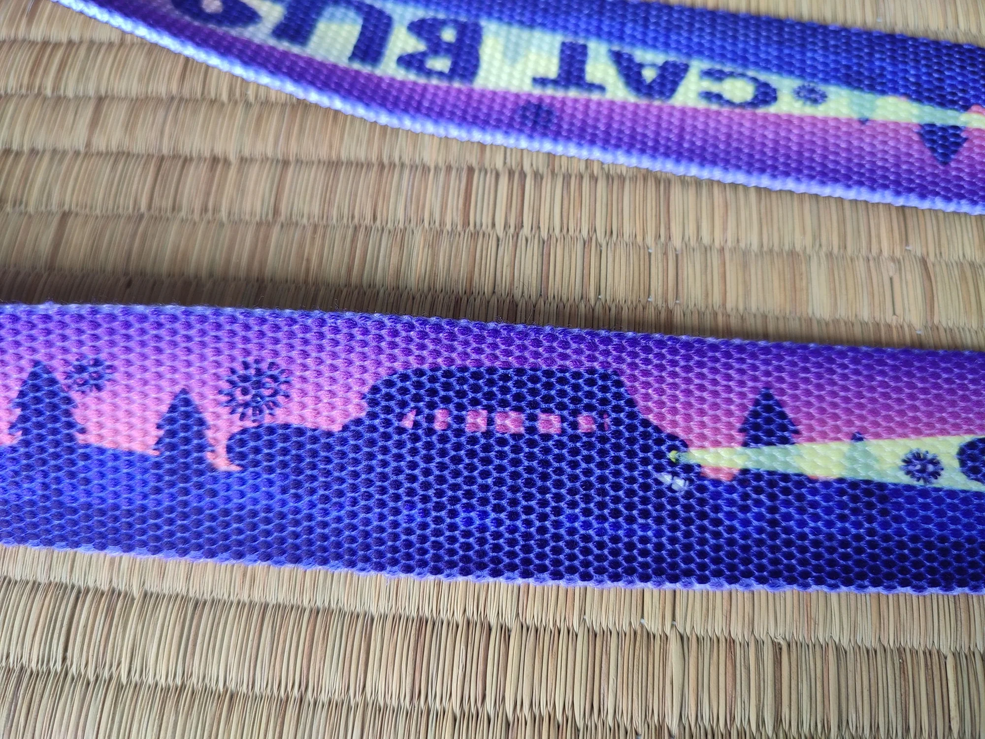 Official Ghibli Catbus Gacha Belt/Buckle • My Neighbor Totoro Ceinture/Strap • GBL Limited Edition - Image 4