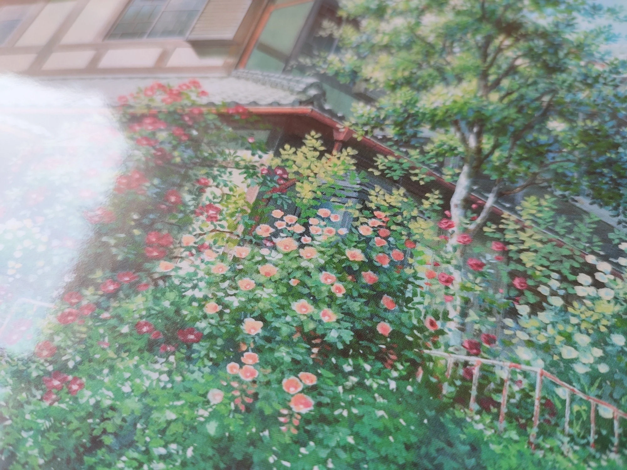 Official Anime Exhibition Wall Art/Interior Decor • The Girl Who Leapt Through Time Reproduction/Scene Picture/Hanging • Manga Gift - Image 4