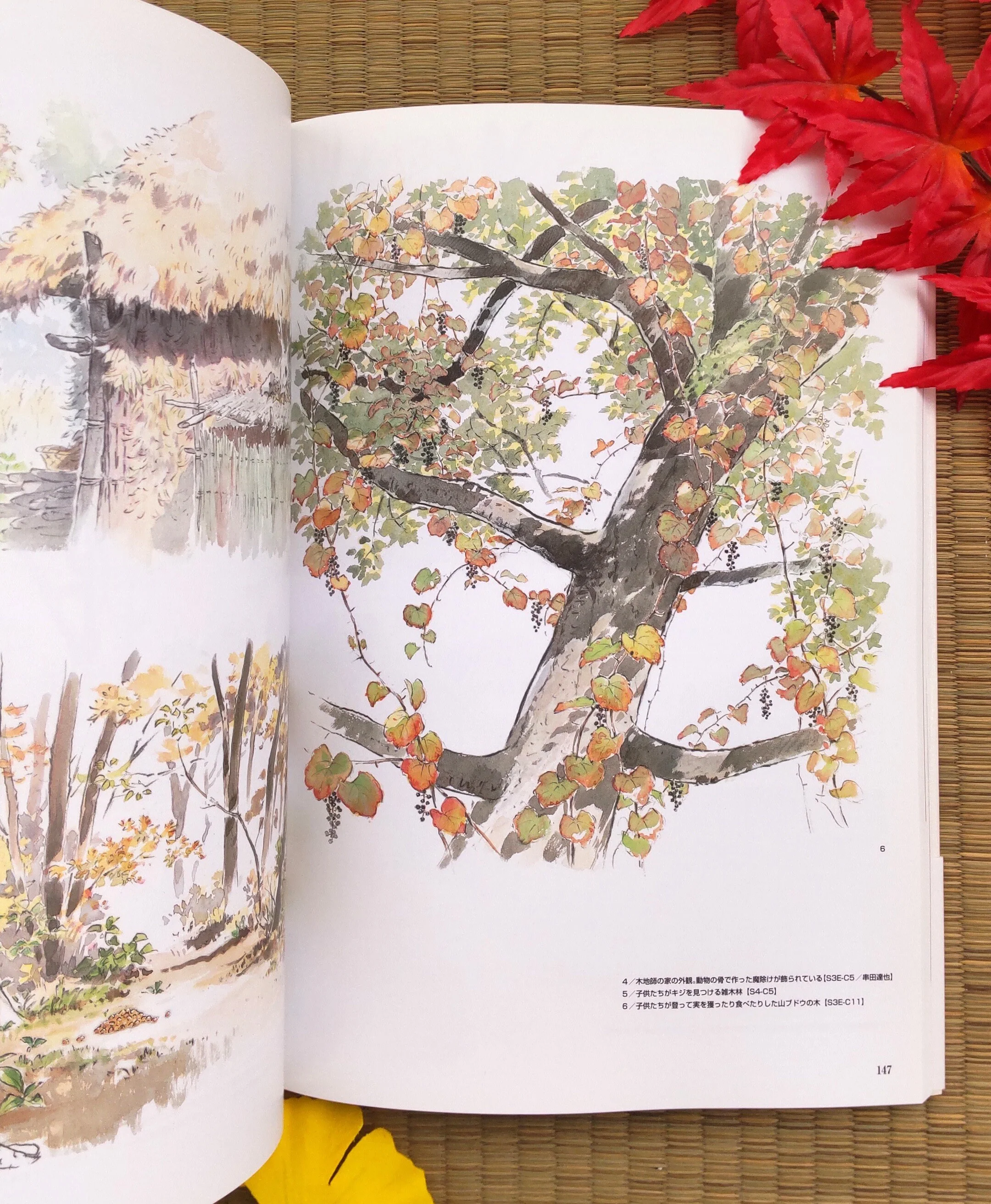 Official Studio Ghibli Artbook • The Tale of the Princess Kaguya Anime • Japanese Painting Art Book • Ghibli Gift - Image 4