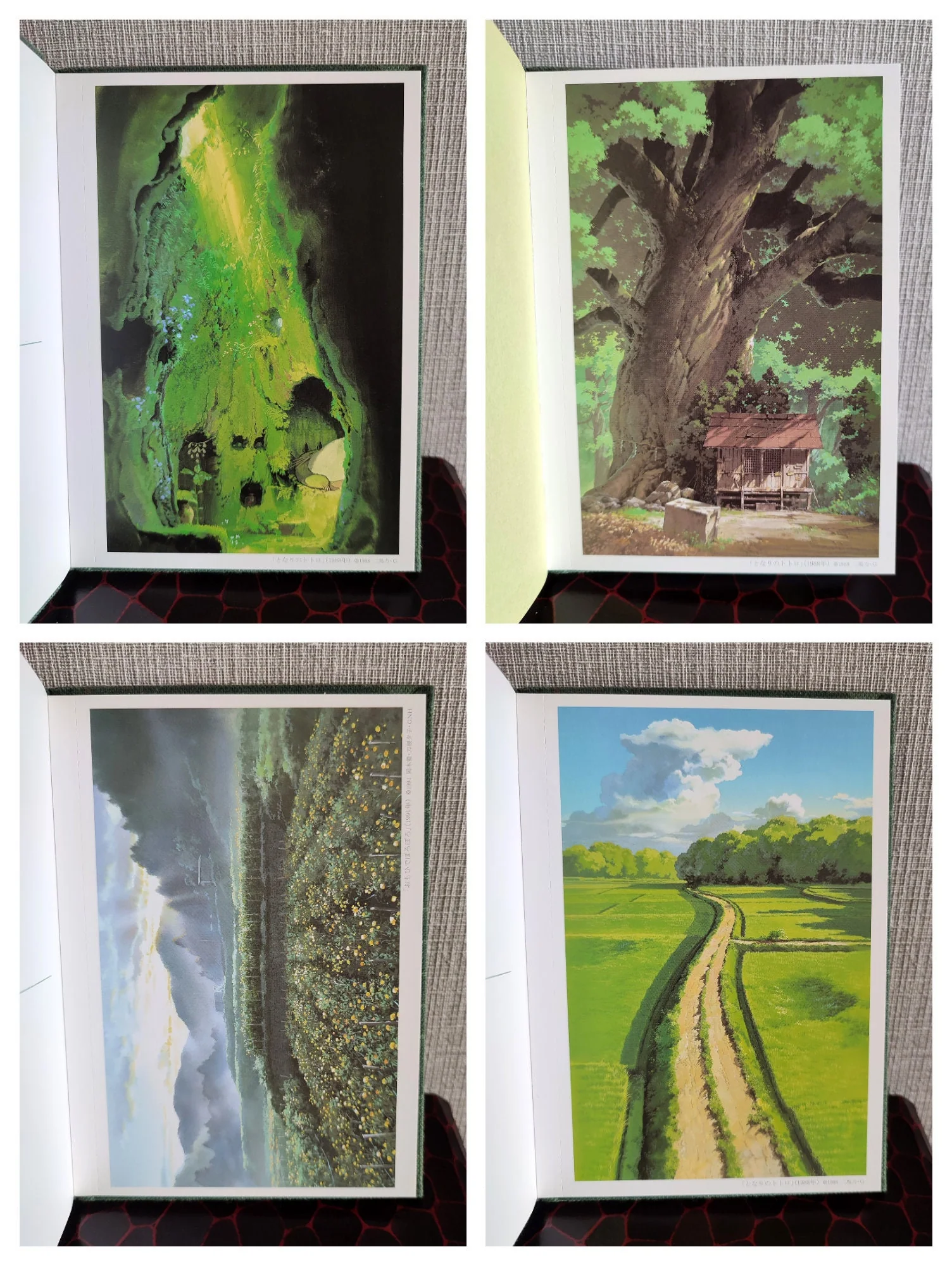 Vintage Ghibli Exhibition 2008 Oga Kazuo Painting Postcard Book with Totoro, Only Yesterday, Mononoke, Pom Poko Artworks - Image 7