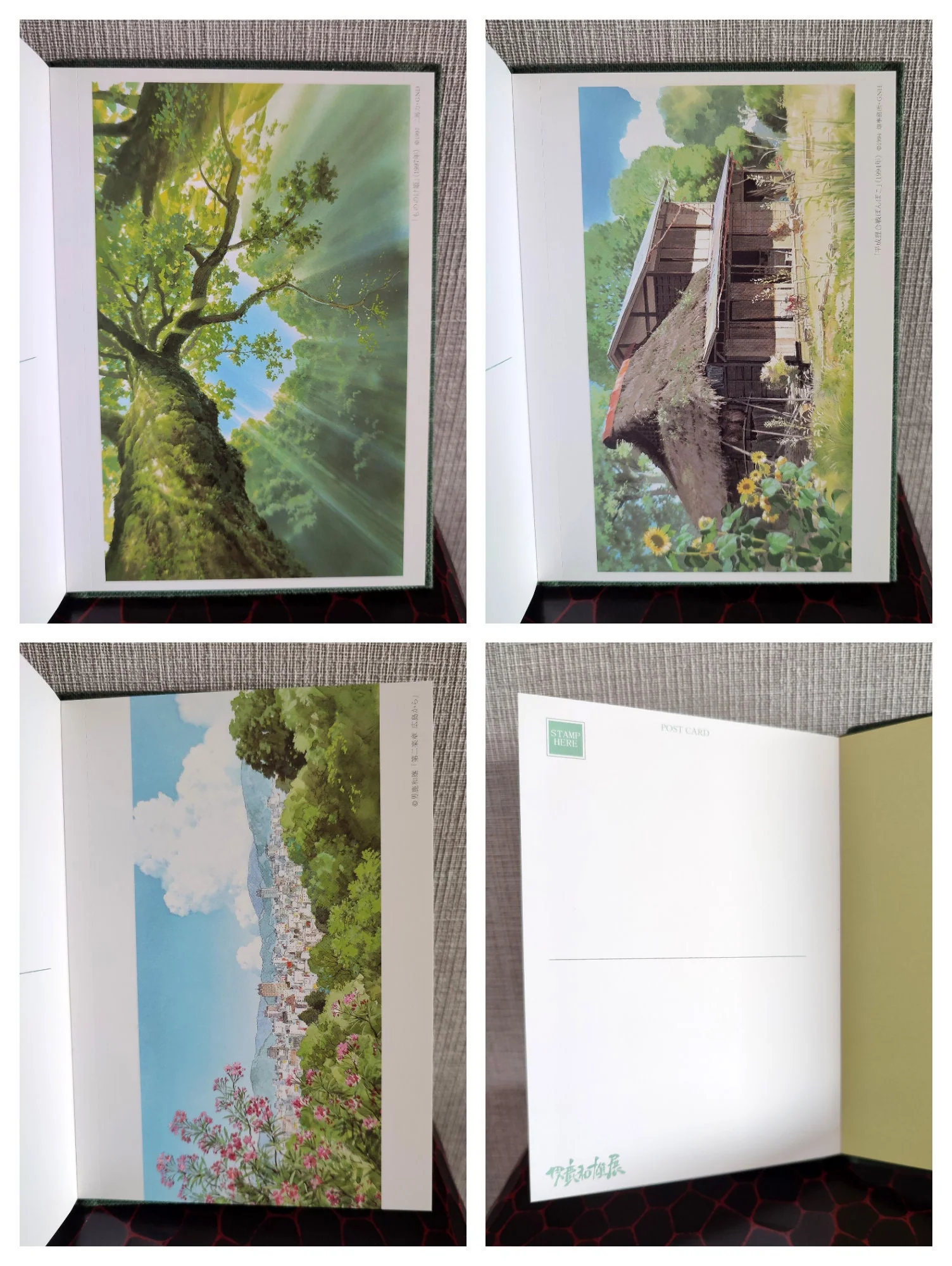 Vintage Ghibli Exhibition 2008 Oga Kazuo Painting Postcard Book with Totoro, Only Yesterday, Mononoke, Pom Poko Artworks - Image 8