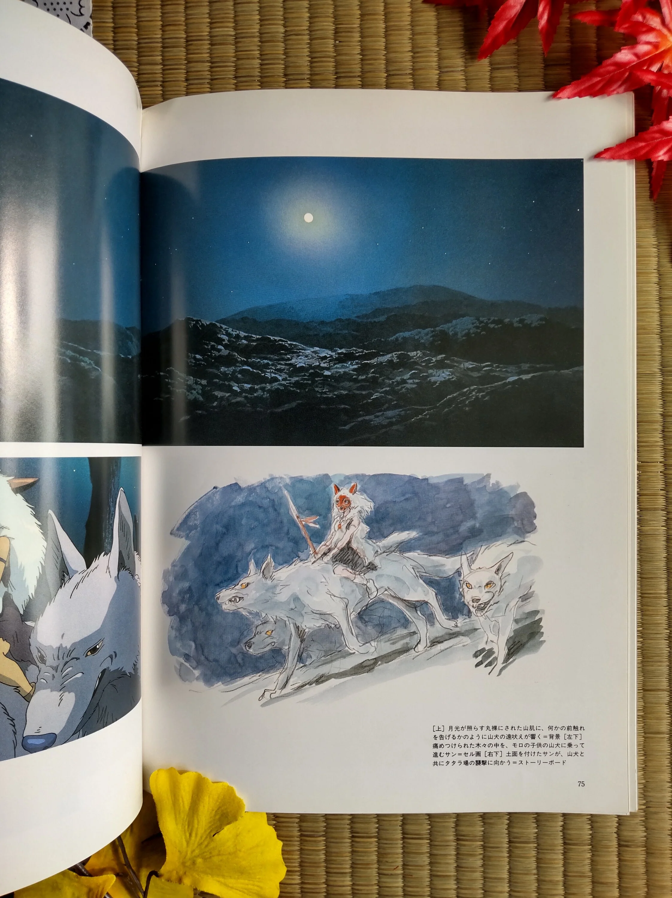 Vintage* Official Ghibli Mononoke Artbook • Princess Mononoke Anime • Japanese Painting Art Book • San, Ashitaka, Yakul - Image 4