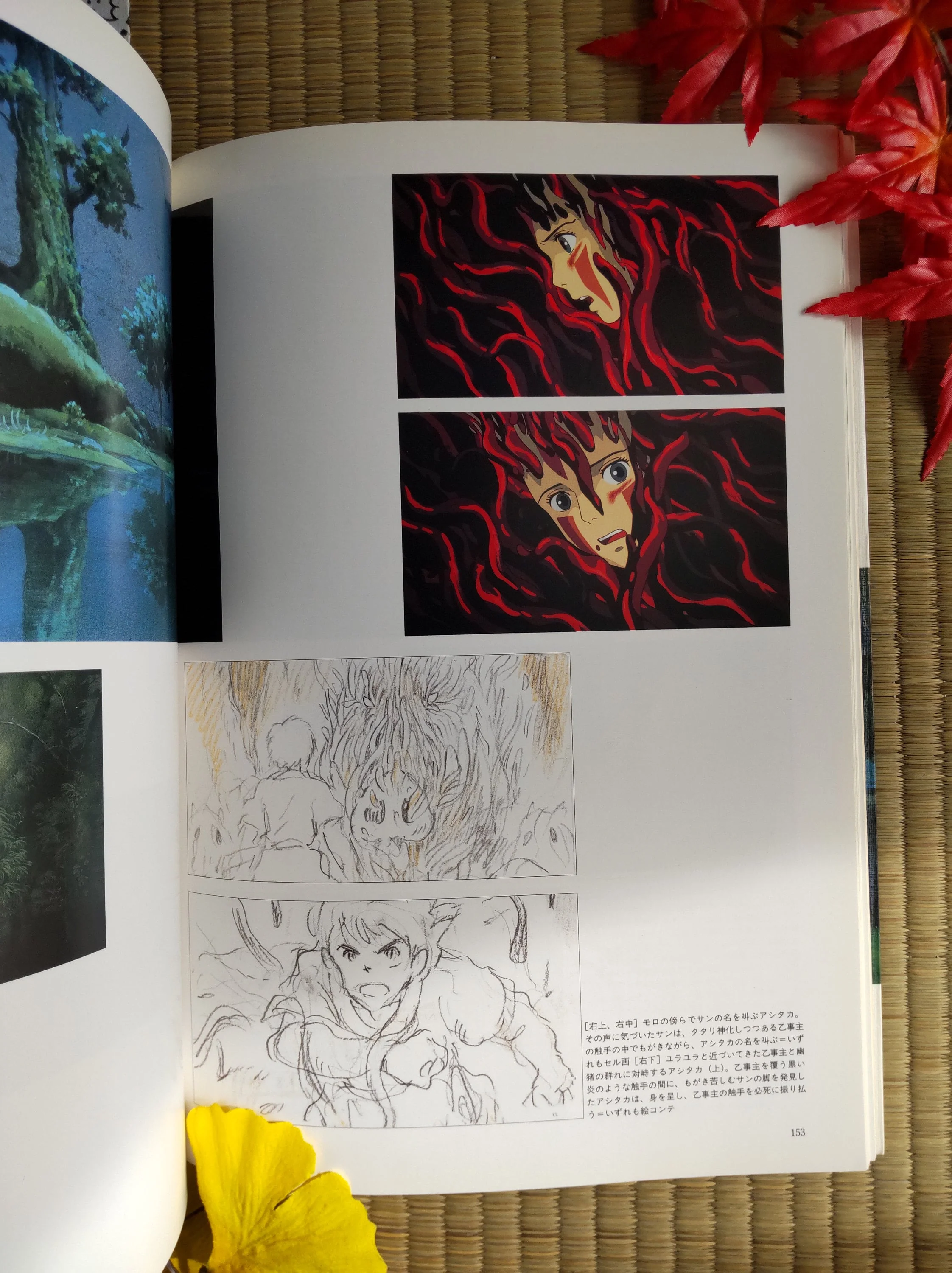 Vintage* Official Ghibli Mononoke Artbook • Princess Mononoke Anime • Japanese Painting Art Book • San, Ashitaka, Yakul - Image 5