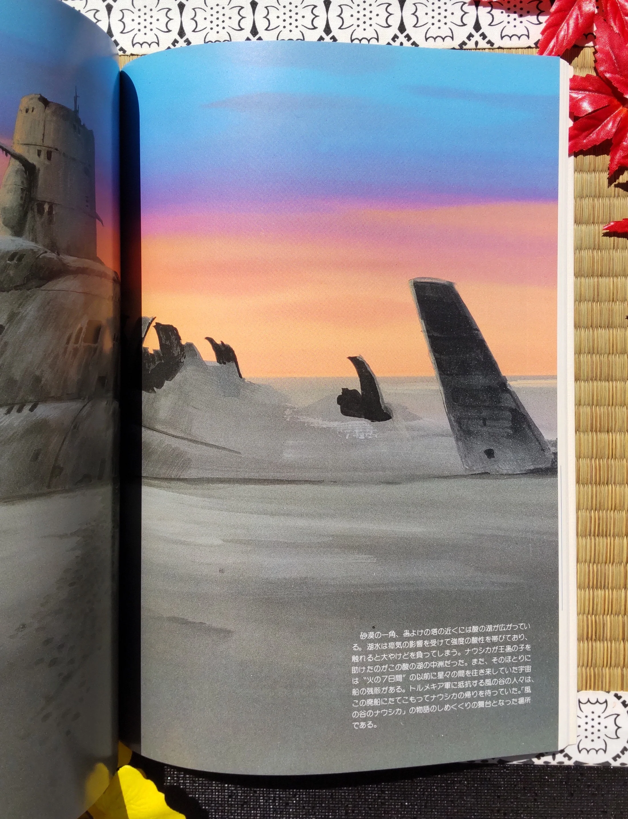 Vintage* Official Ghibli Nausicaa Artbook • Nausicaä of the Valley of the Wind Anime • Japanese Painting Art Book - Image 6